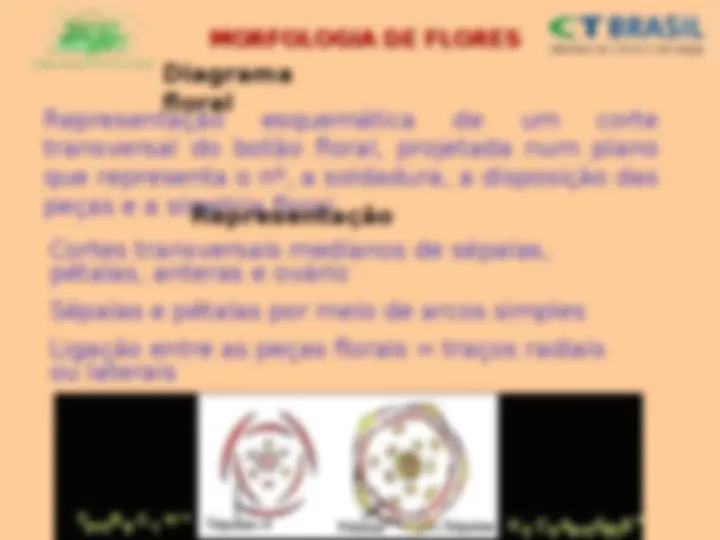 pf43