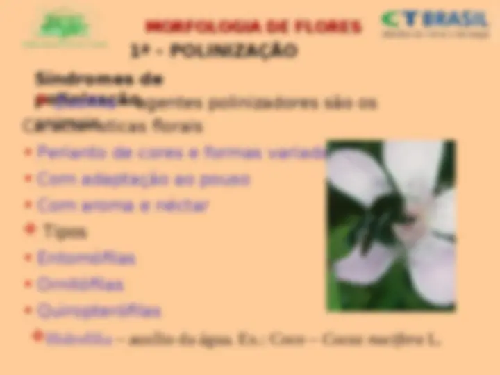pf4e