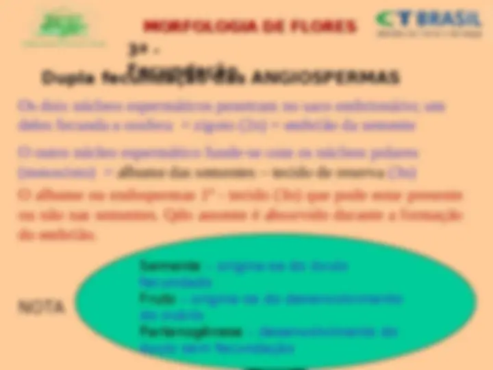 pf57