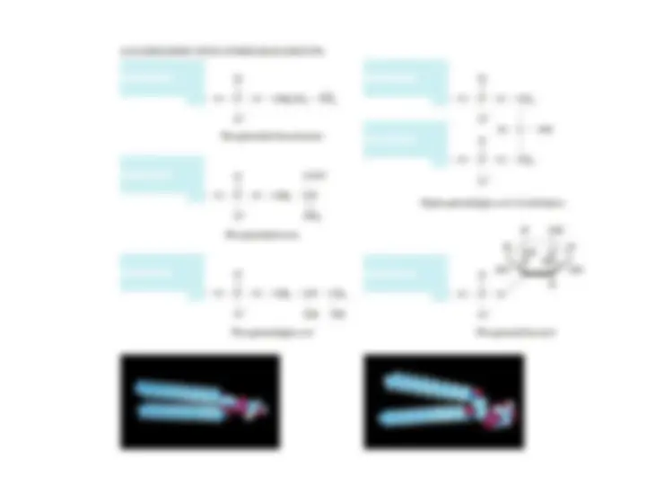pfe