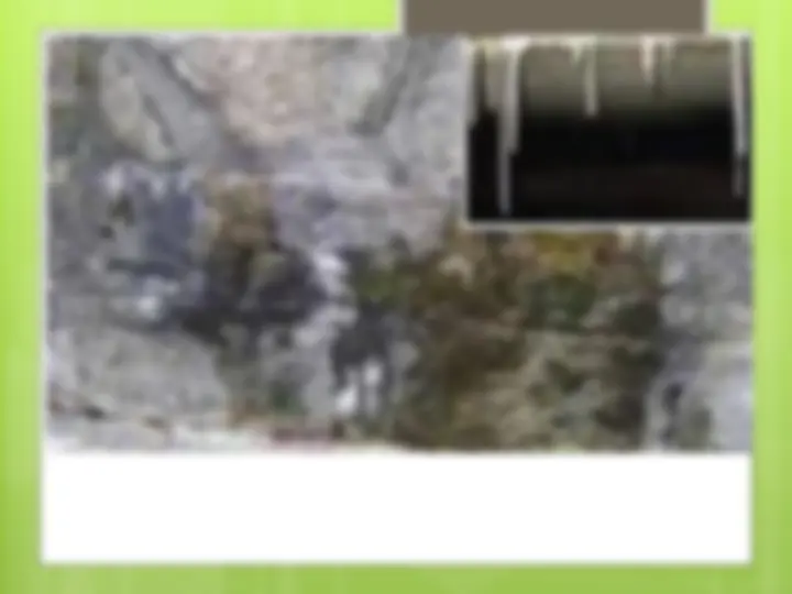pf5