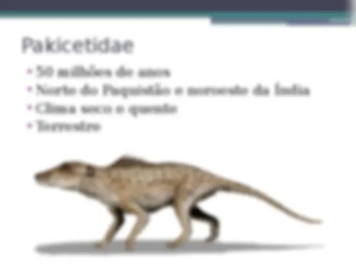 pff