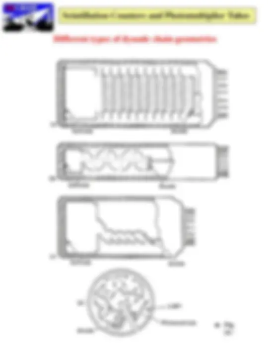 pf21