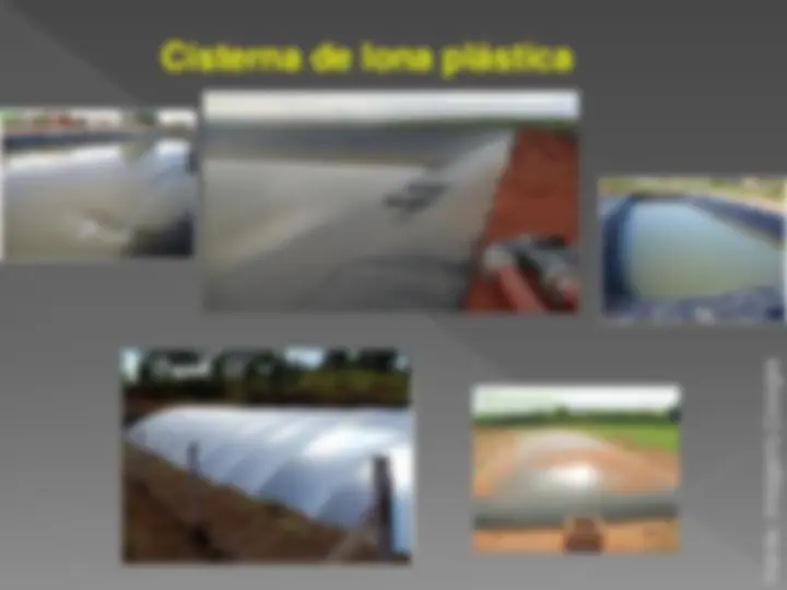 pf14