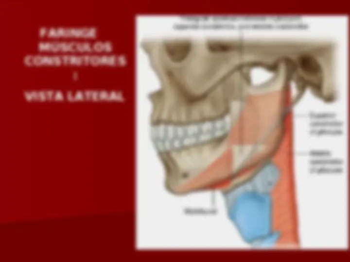 pf1a