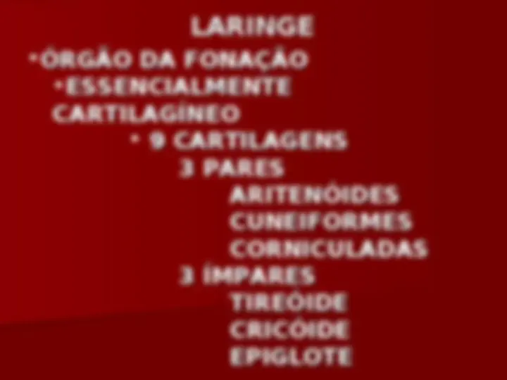 pf24