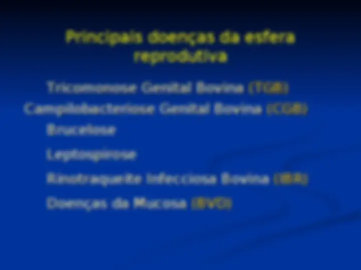 pfe