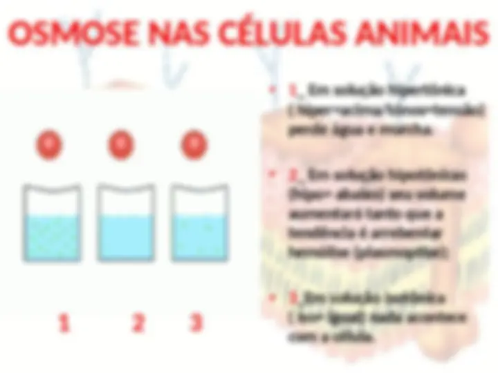 pff