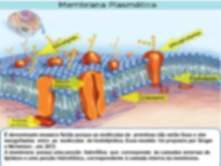 pf5