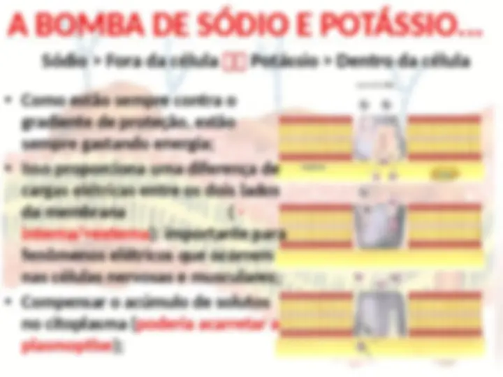pf13
