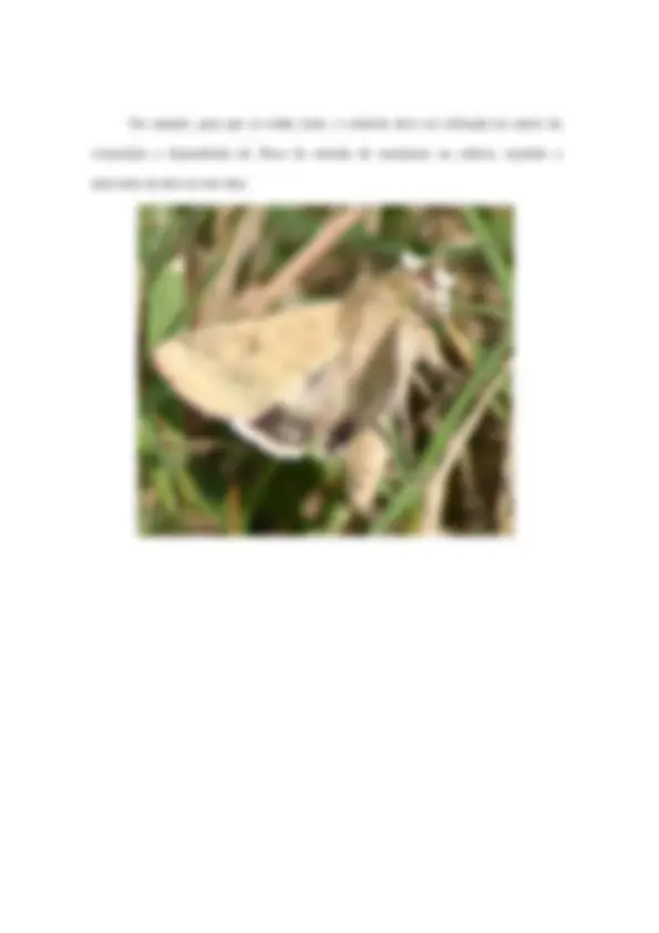 pf35