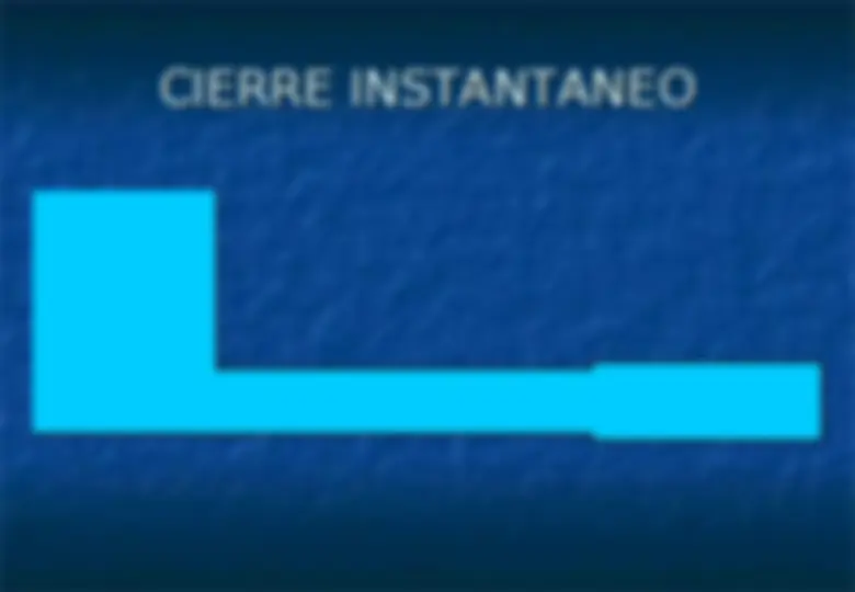 pf4c
