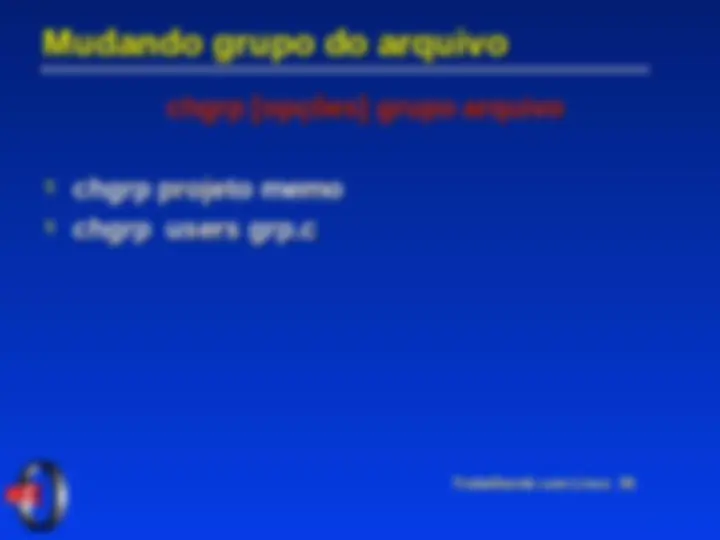 pf24