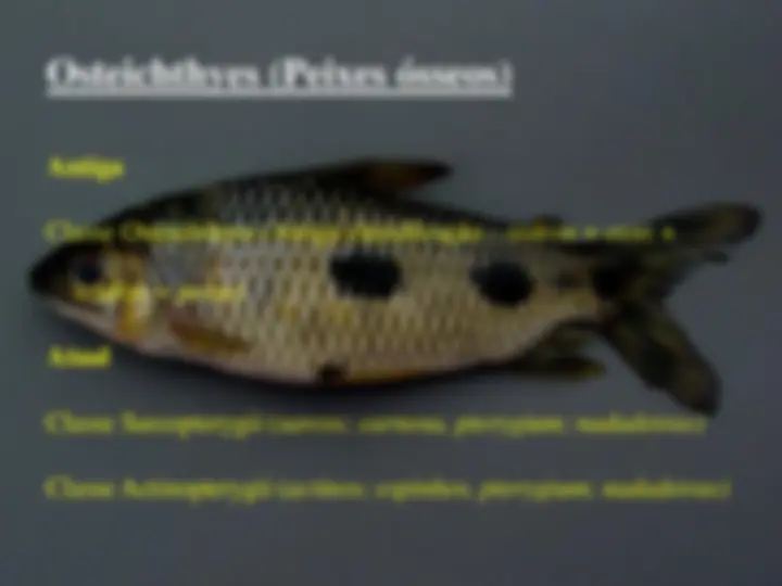 pf14