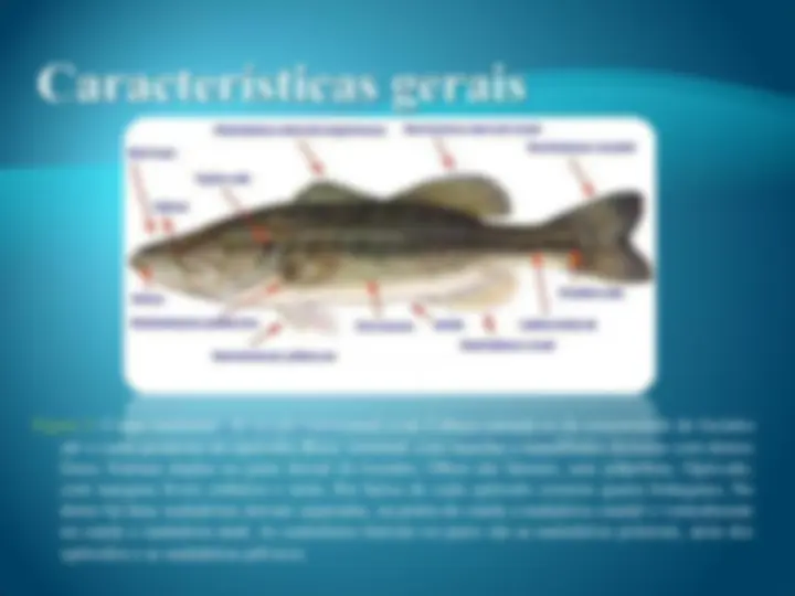 pf16