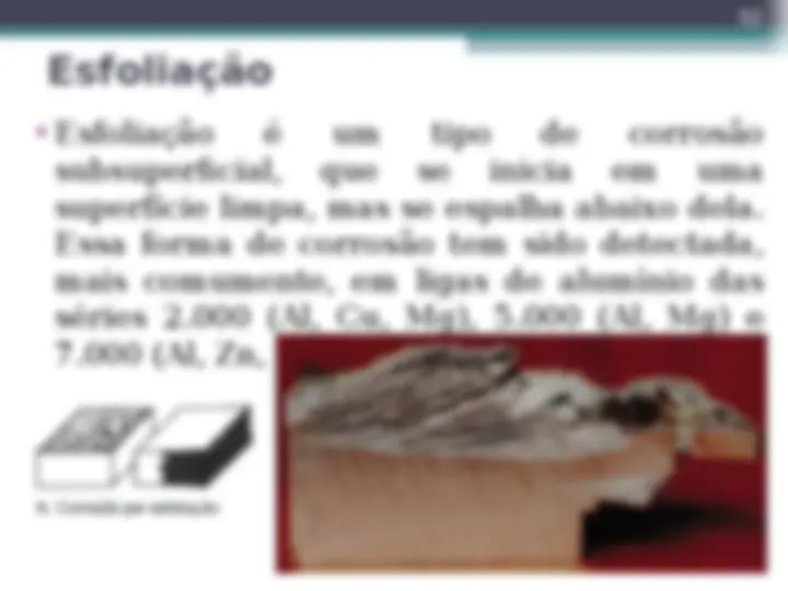 pf20