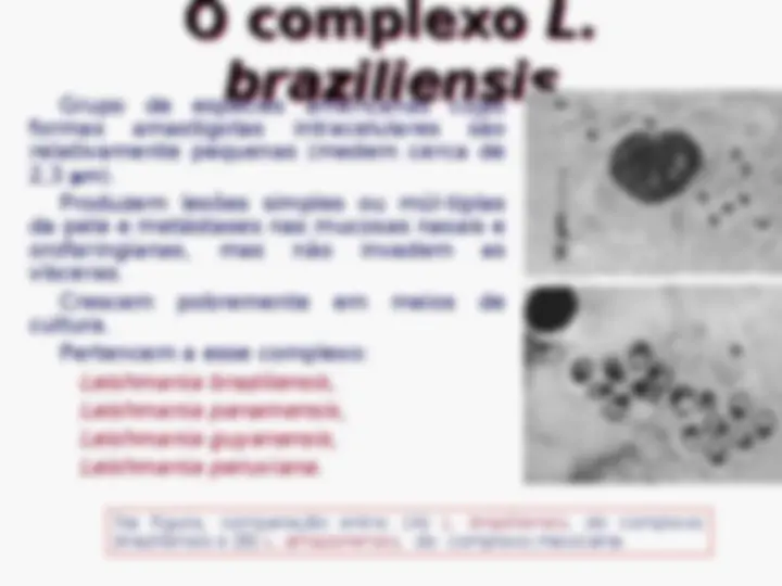 pf4