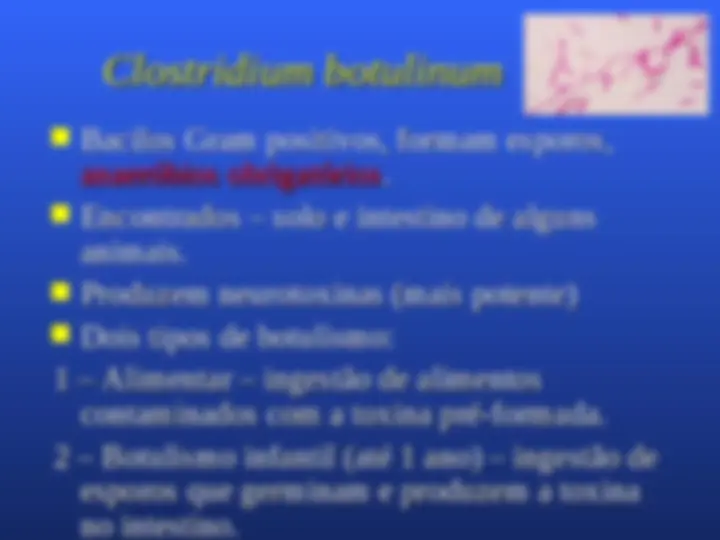 pf1f