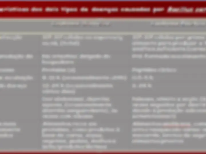 pf16