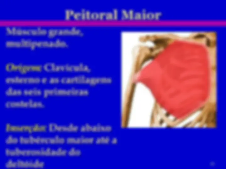 pf19