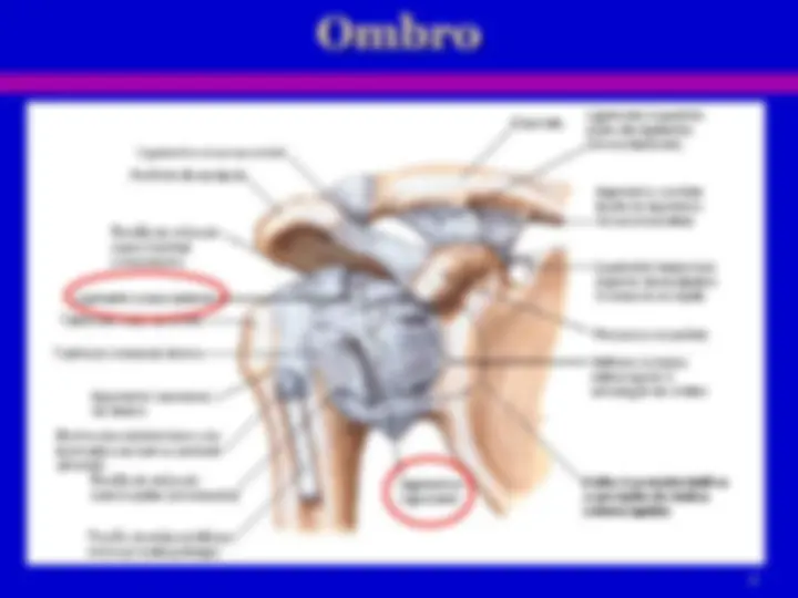 pf8