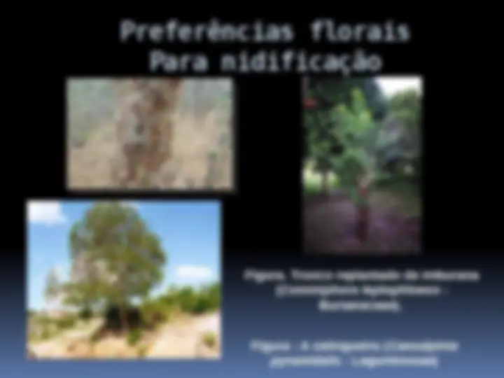 pf14