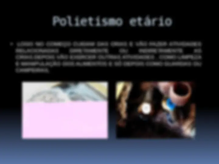 pf13