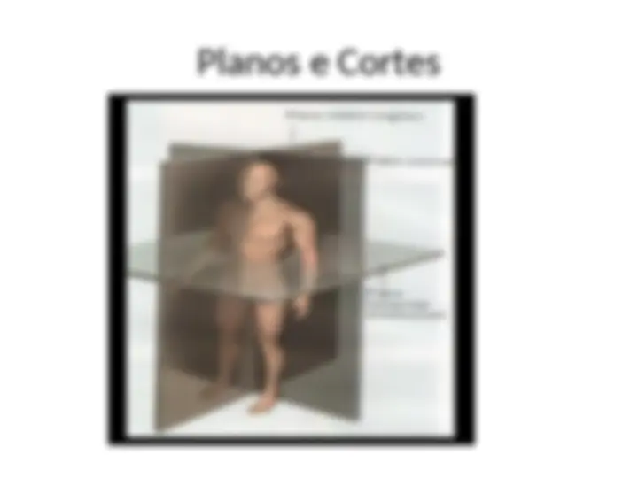 pf5