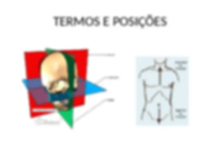 pfe