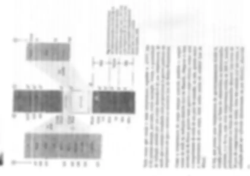 pf8
