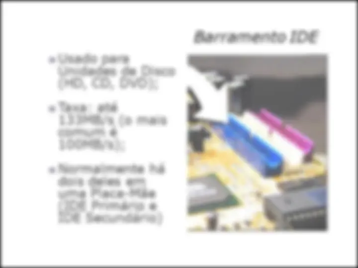 pf19