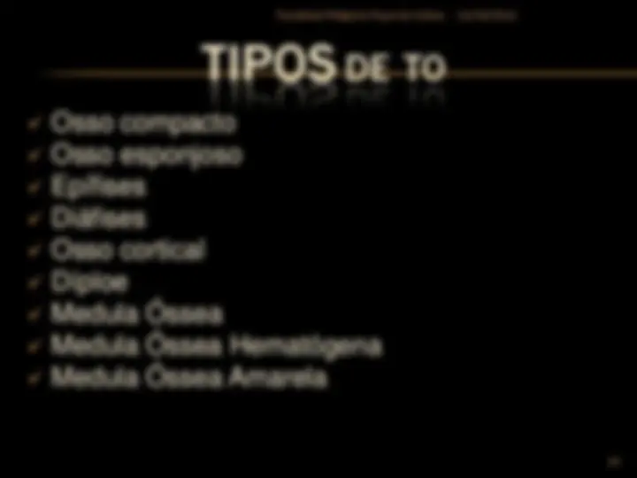 pfe