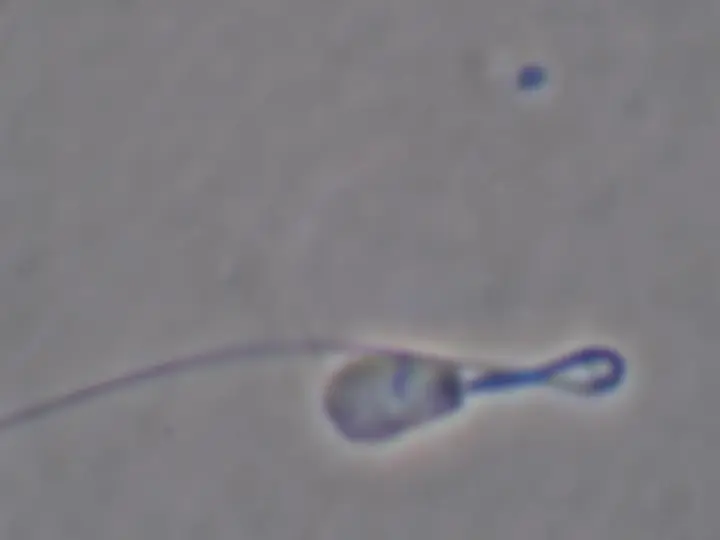 pf1a