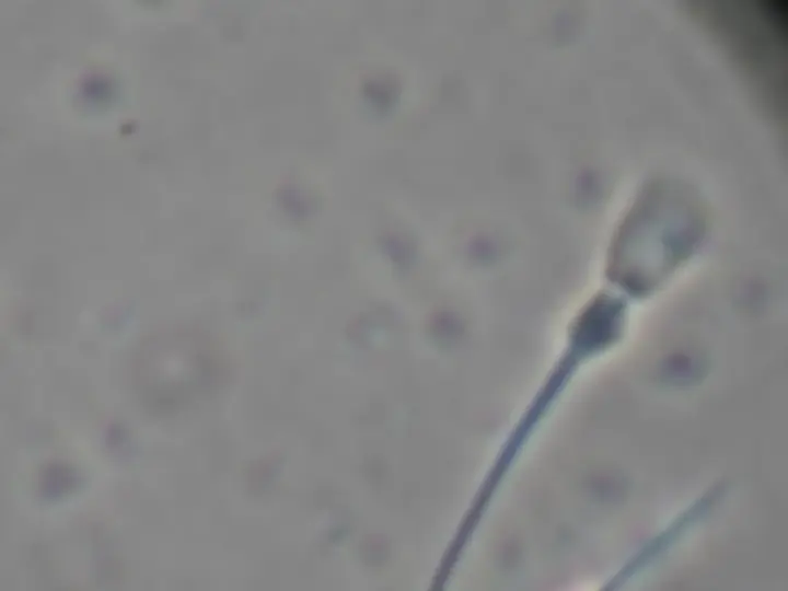 pf18