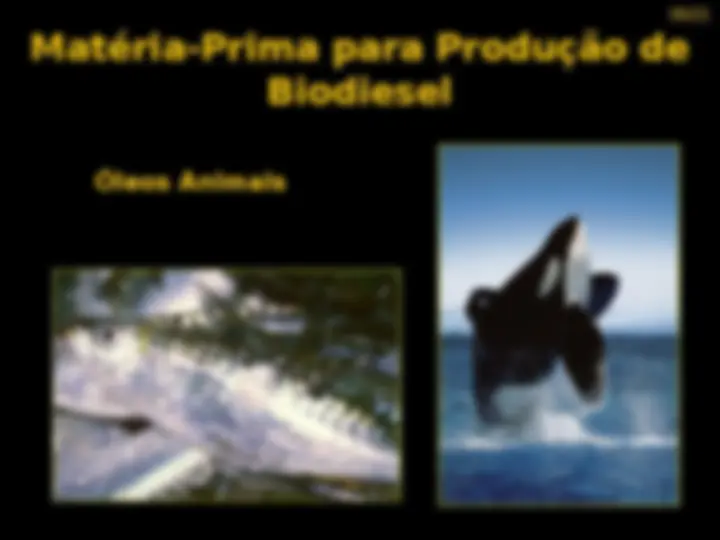 pf13