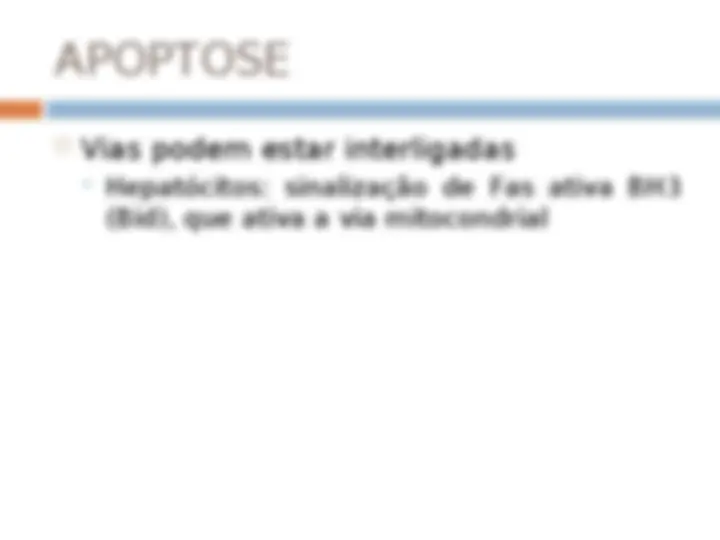 pf13