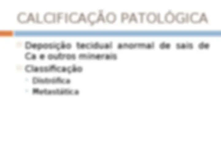 pf26