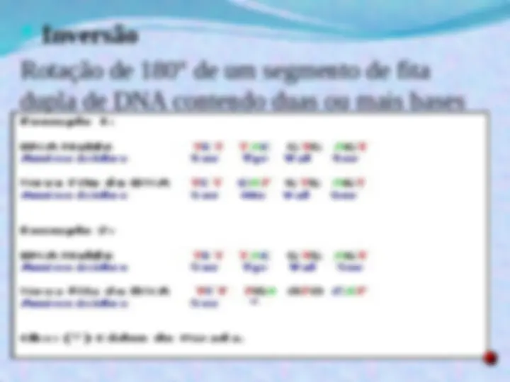 pf12