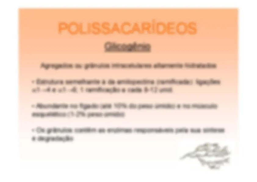 pf20