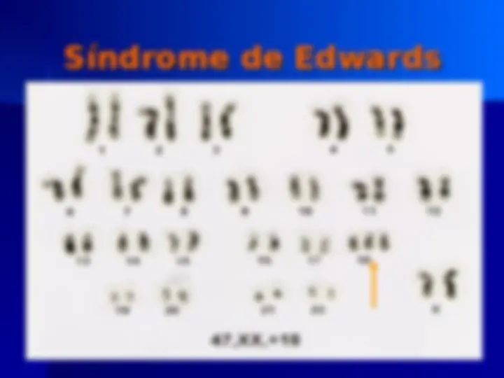 pf13