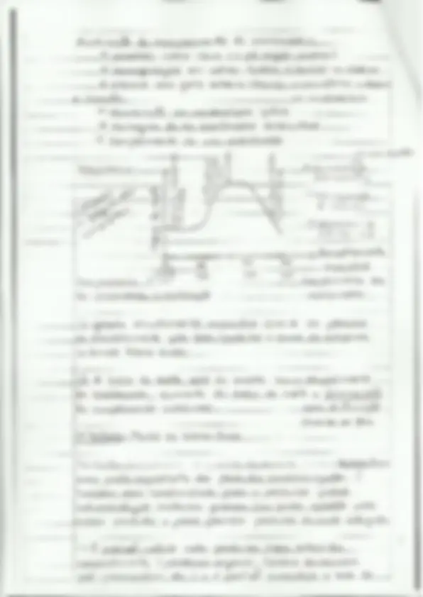 pf8