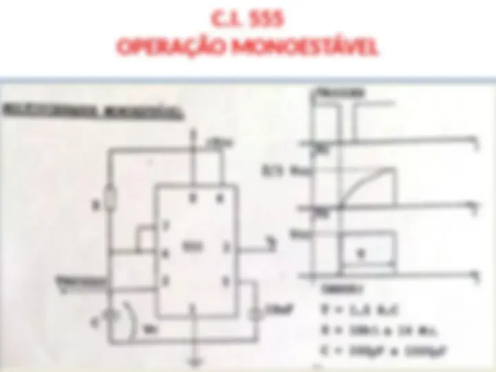 pf19