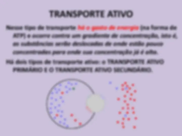 pf1b
