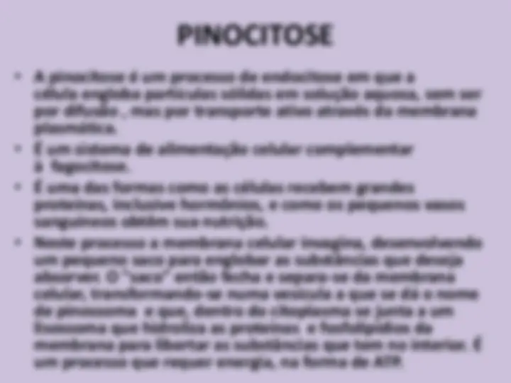 pf24