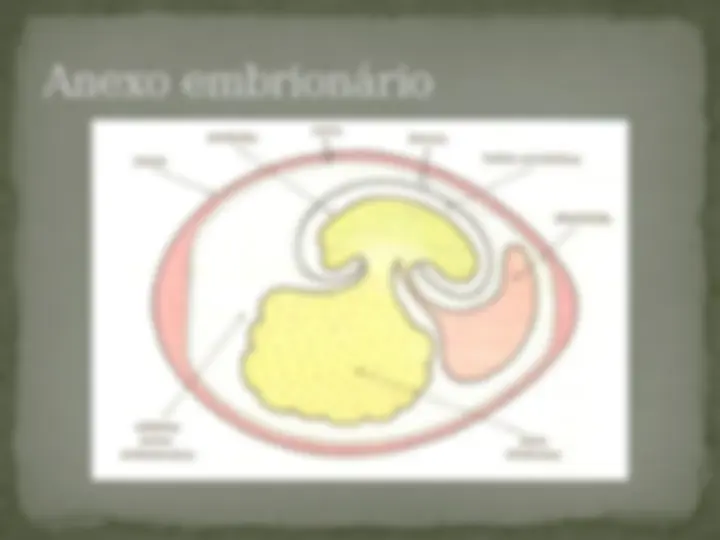 pf13