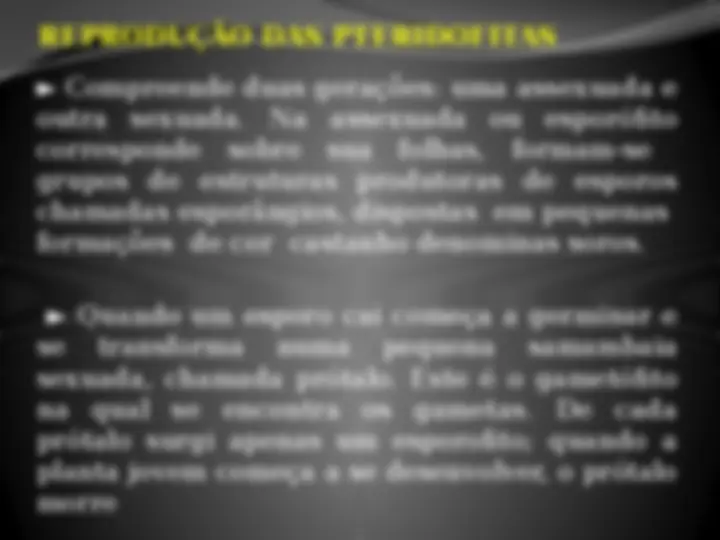 pf1e