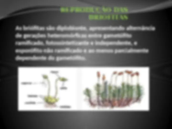 pf17