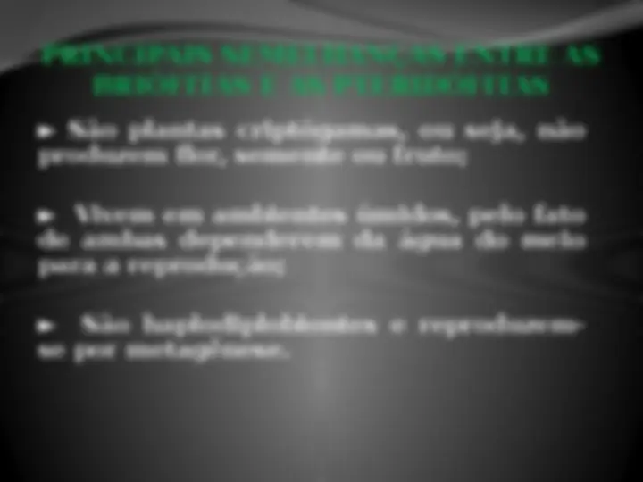 pf21