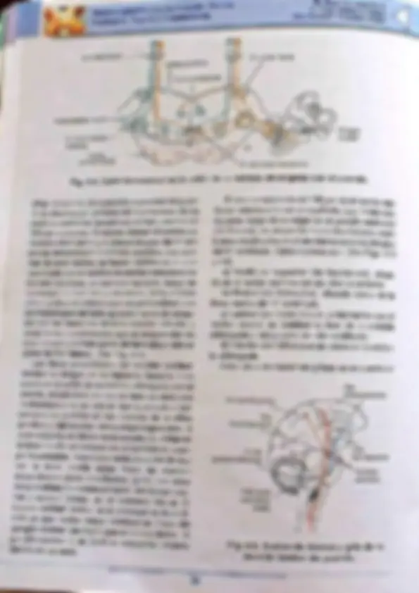 pf35