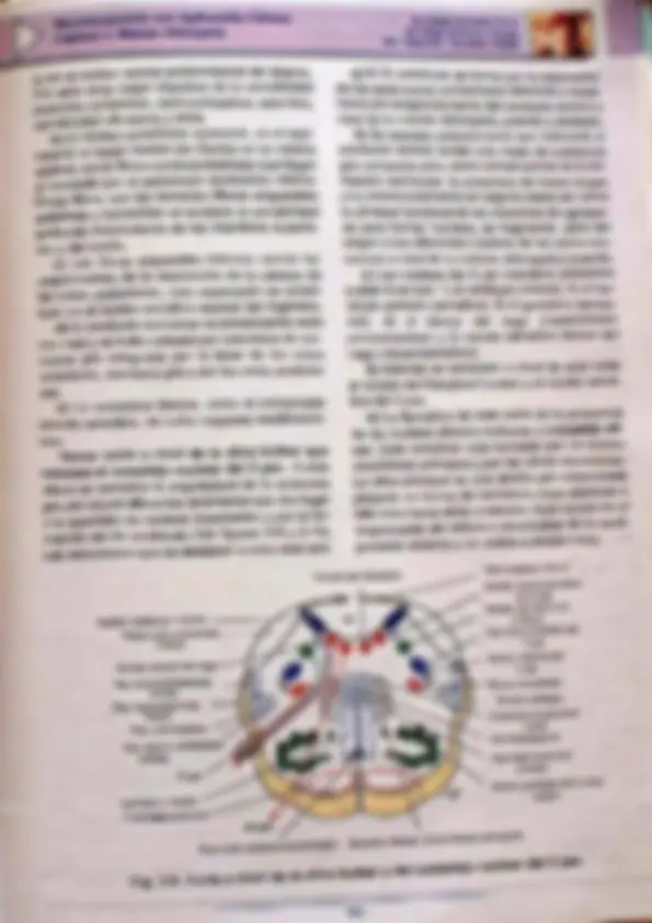 pf2e